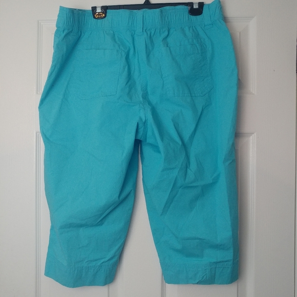 CORAL BAY 16P Aqua Capris - Picture 4 of 5